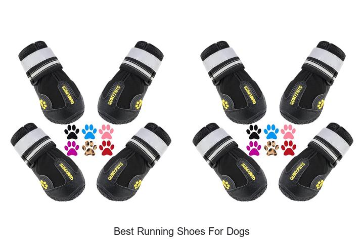 Best Running Shoes for Dogs That Will Blow Your Mind!