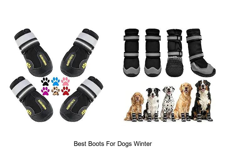 Best Boots for Dogs Winter: Keep Paws Warm & Safe Now!