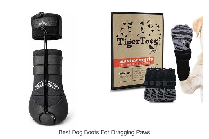 Best Dog Boots for Dragging Paws That Actually Work!