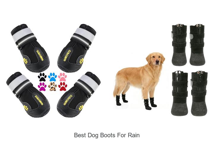 Best Dog Boots for Rain That Will Blow Your Mind!