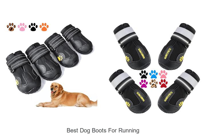Best Dog Boots For Running That Will Blow Your Mind!