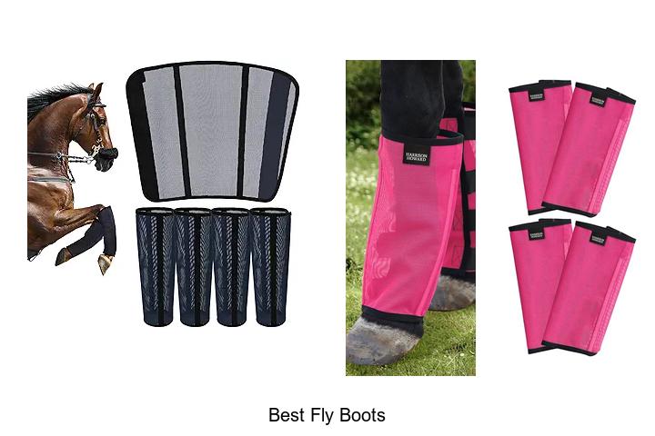 Top 7 Best Fly Boots That Will Change Your Ride Today!