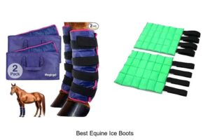 Top 12 Best Equine Ice Boots That Experts Swear By!